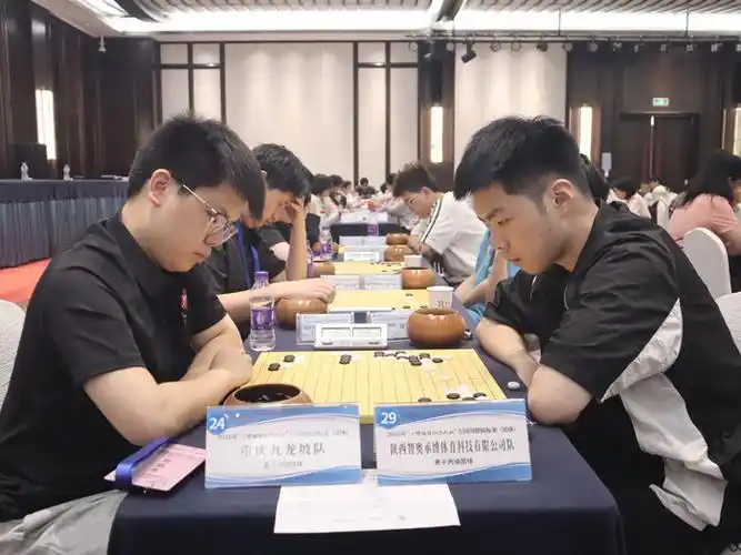 围棋杯团体赛激战正酣 北京上海领跑男子乙组 多项目国手齐发力
